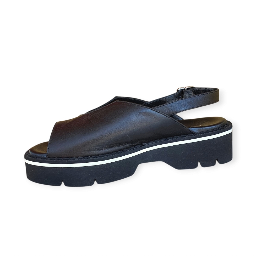 1740 Savanna nero-savanna nero